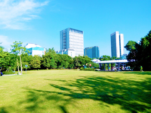 草地城市风景