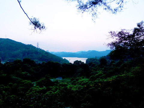 深圳仙湖夜景