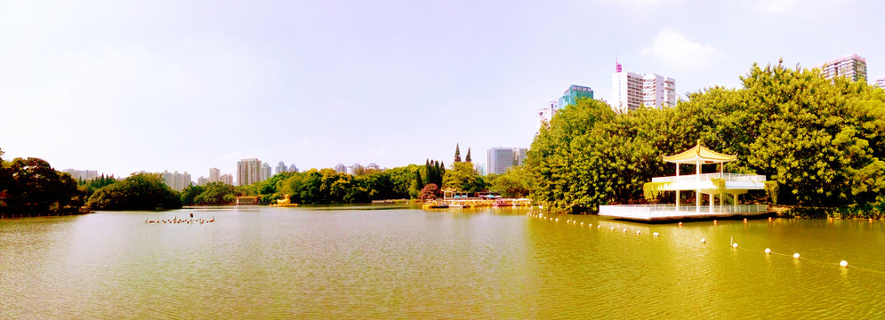 荔枝公园湖畔