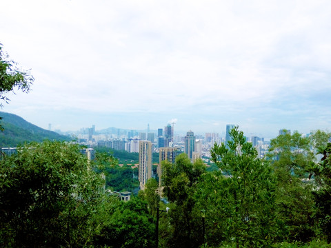 深圳赤湾城市风景