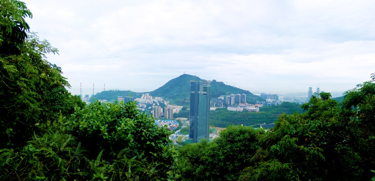 蛇口赤湾风景