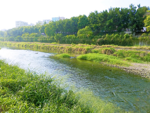 龙岗河