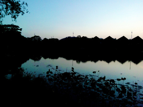 大运中心湖畔风景