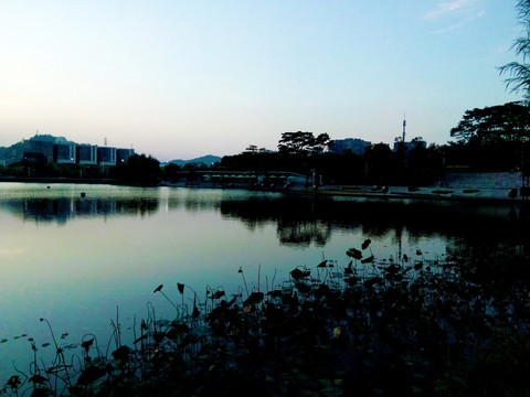 大运中心湖畔风景