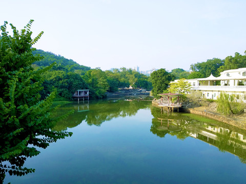 湖畔风景