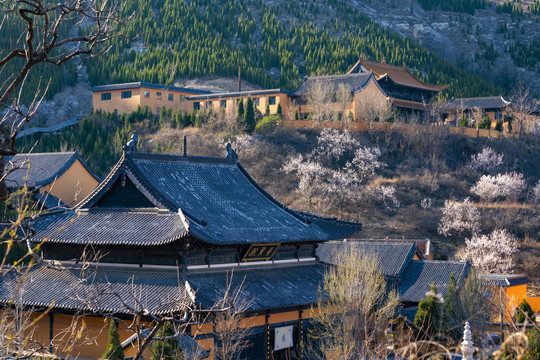 寺庙建筑