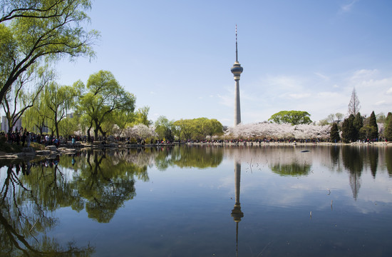 湖景春光