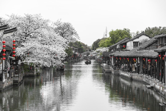 西塘古镇旅游