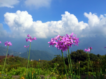 台湾中部山脉