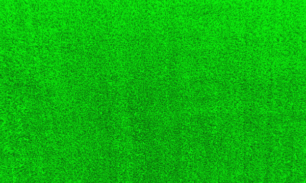 绿植壁纸
