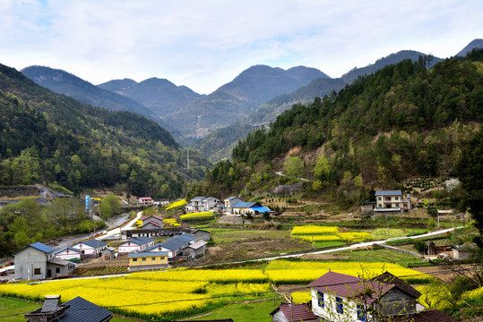 湖北恩施山间的油菜花