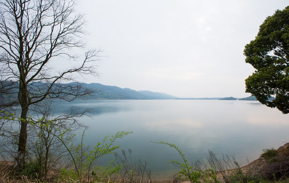 洈水水库