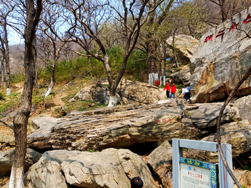 连云港花果山