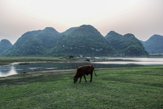 红枫湖