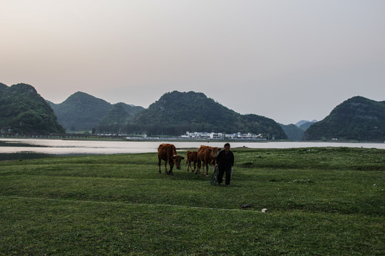 红枫湖