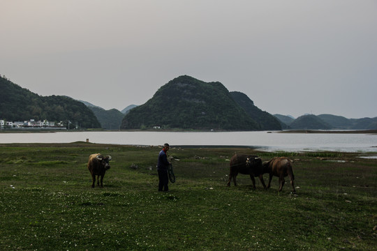 红枫湖