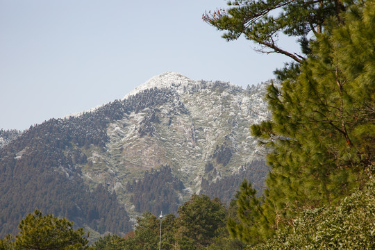 衡山雪景雾松