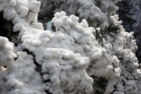 衡山雪景