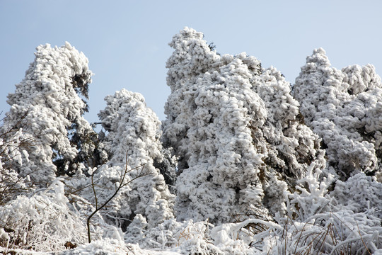 衡山雪景