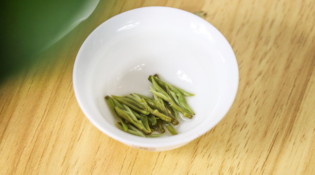 新茶春茶茶底