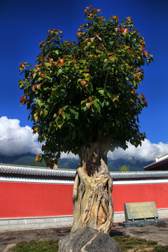 大理旅游崇圣寺三塔