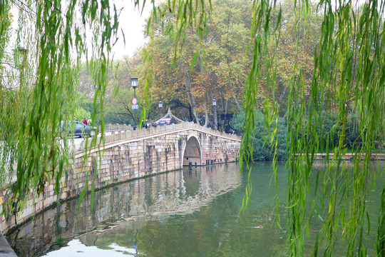 西湖西泠桥垂柳景观