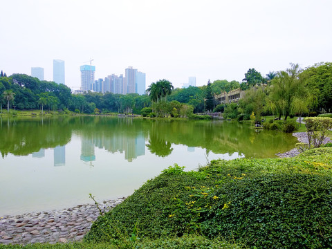 深圳大学湖畔风景