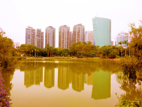 深圳大学湖畔风景