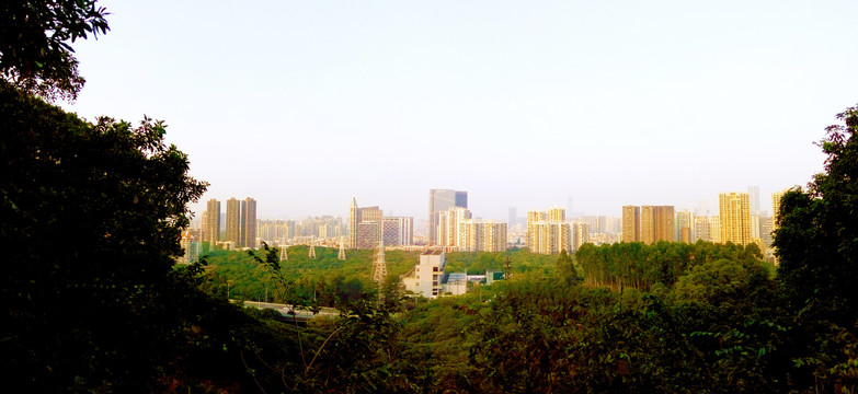 南山远望城市风景