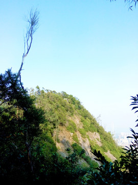 深圳南山公园风景