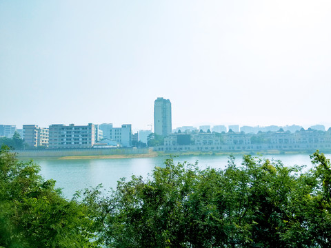 深圳立新湖风景