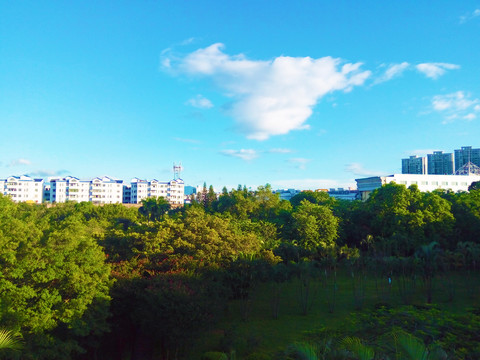 远望凤岗城市风景