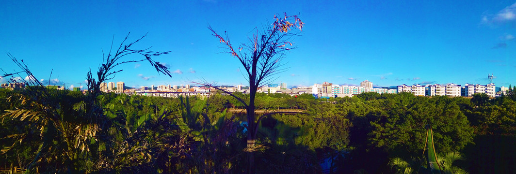 远望凤岗城市风景