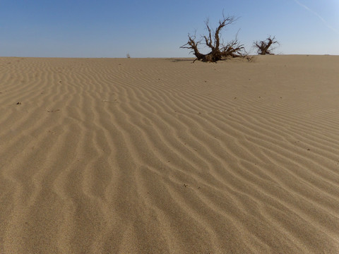 荒芜的沙漠地貌