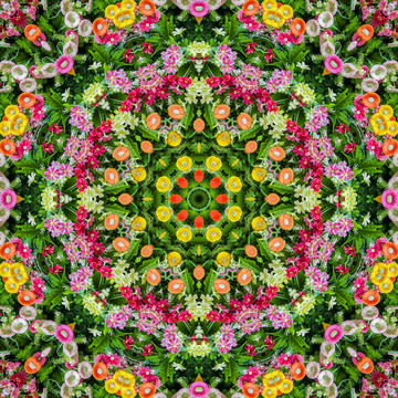 鮮花萬花筒