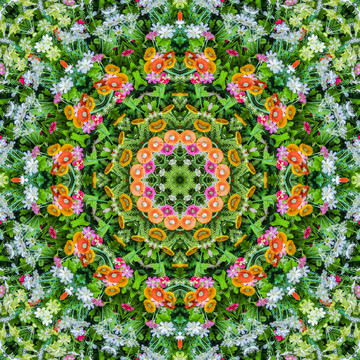 鮮花背景