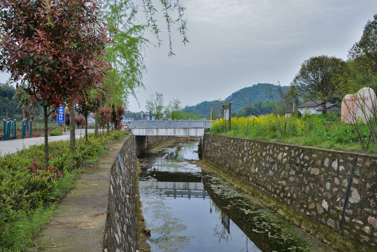 美丽乡村水沟