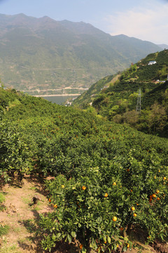 伦晚基地