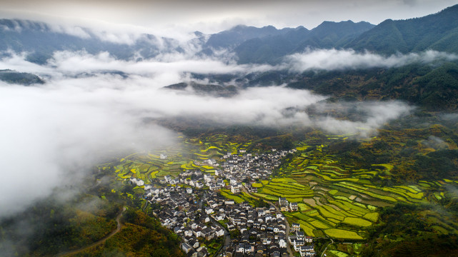 岭脚风光