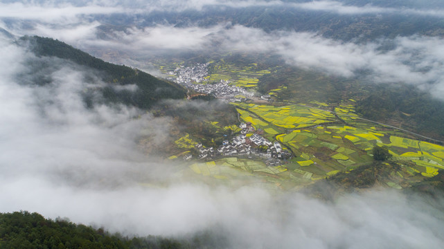 婺源岭脚风光