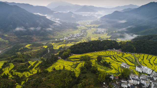 江岭油菜花景区