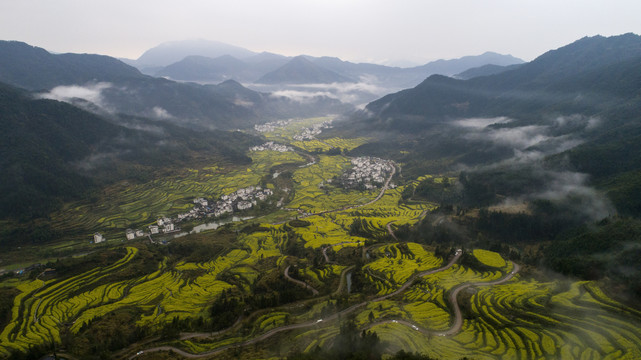 江岭油菜花景区