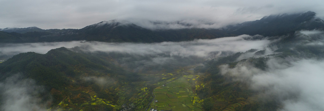 江岭油菜花景区