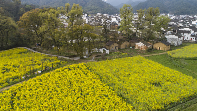 严田古村