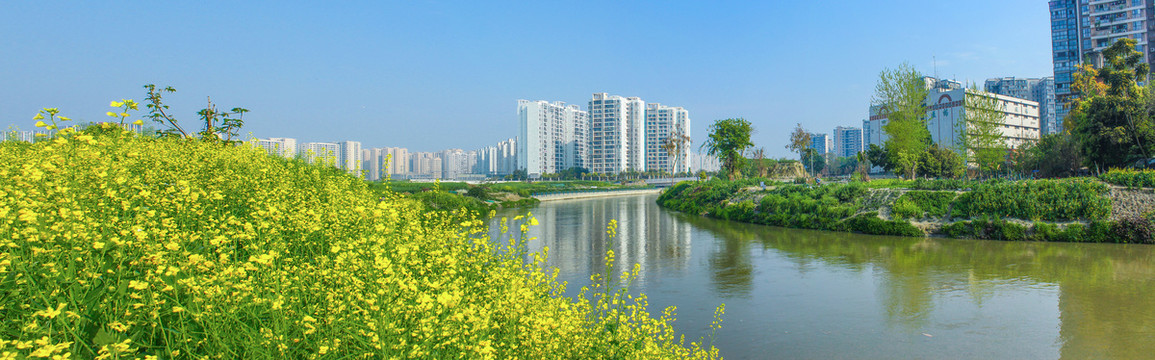 成都城市风光