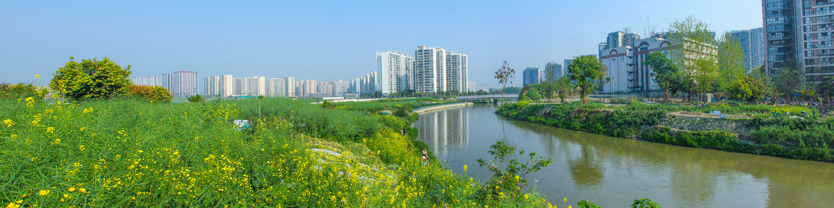 成都城市风光