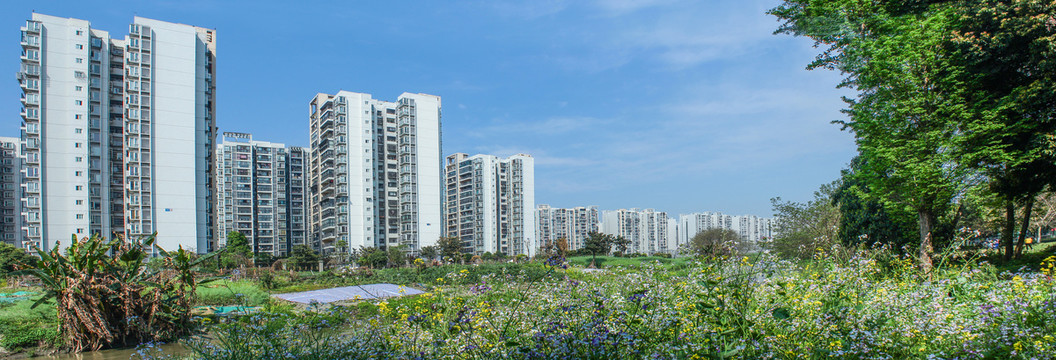 成都城市风光