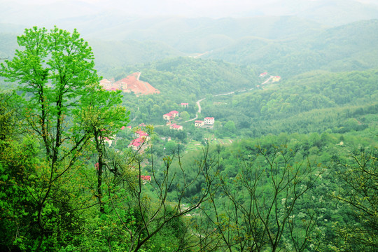 农村美景