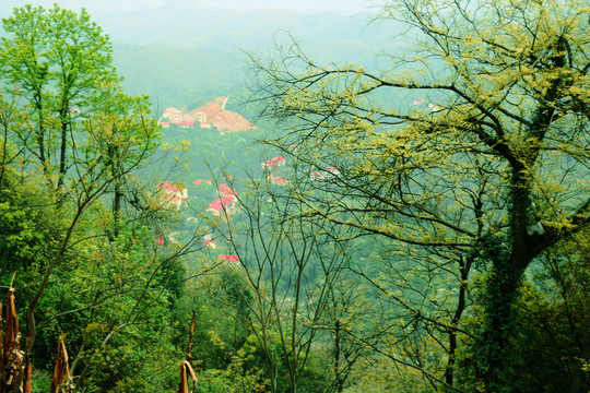 大山里的新农村