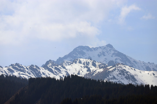 天山雪峰